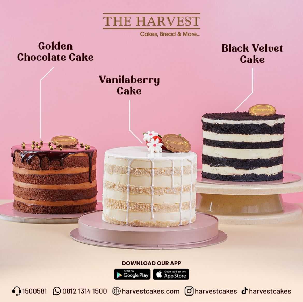 The Harvest - Cilegon 3