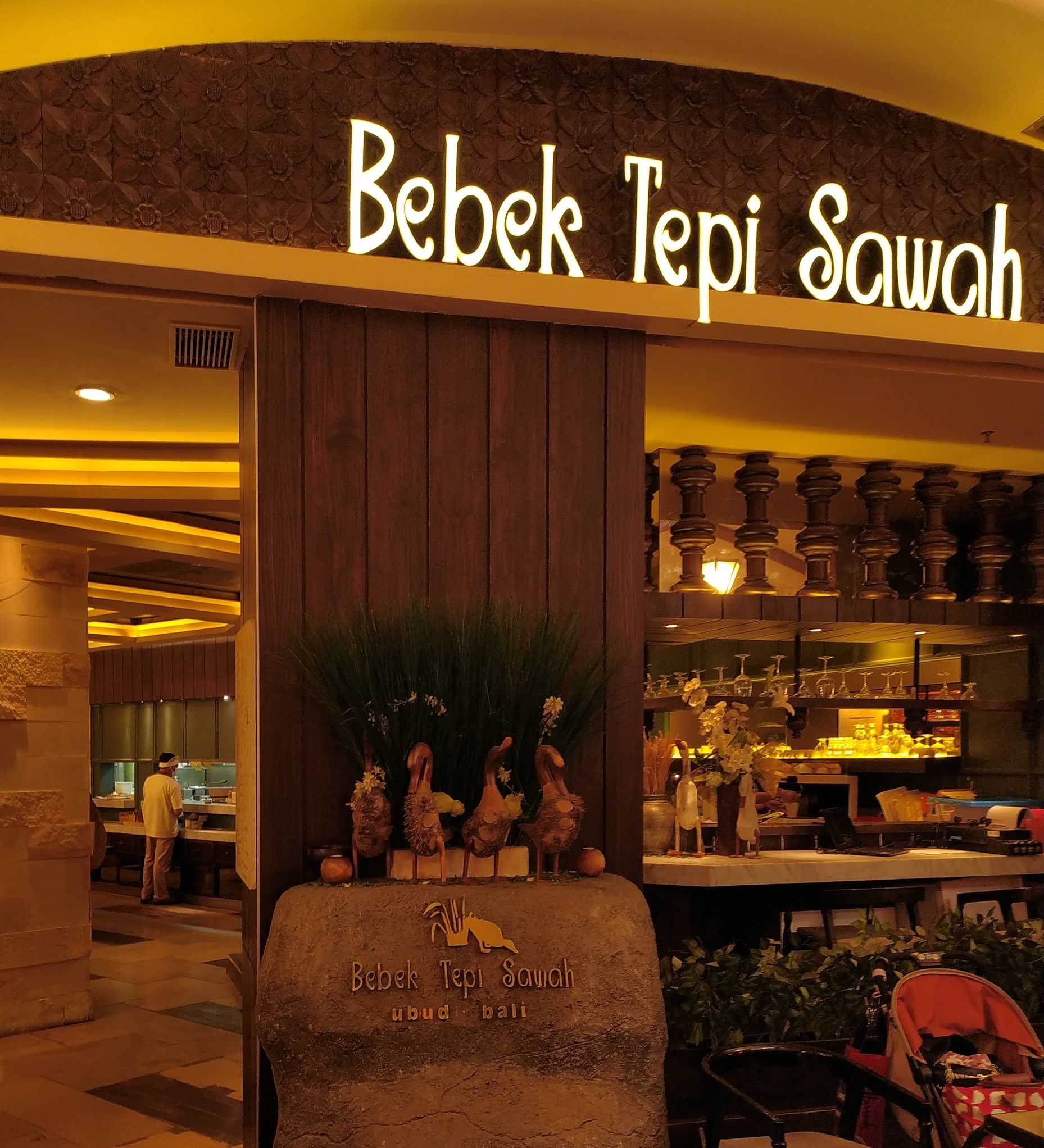 Bebek Tepi Sawah 1