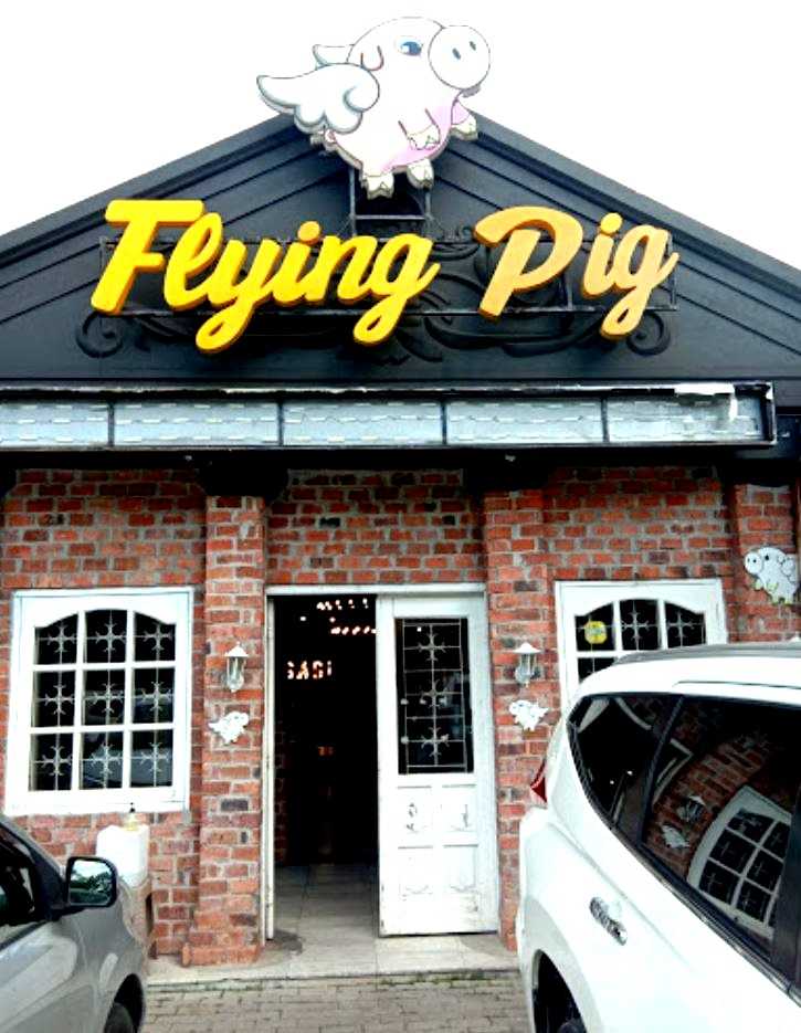 Flying Pig 1