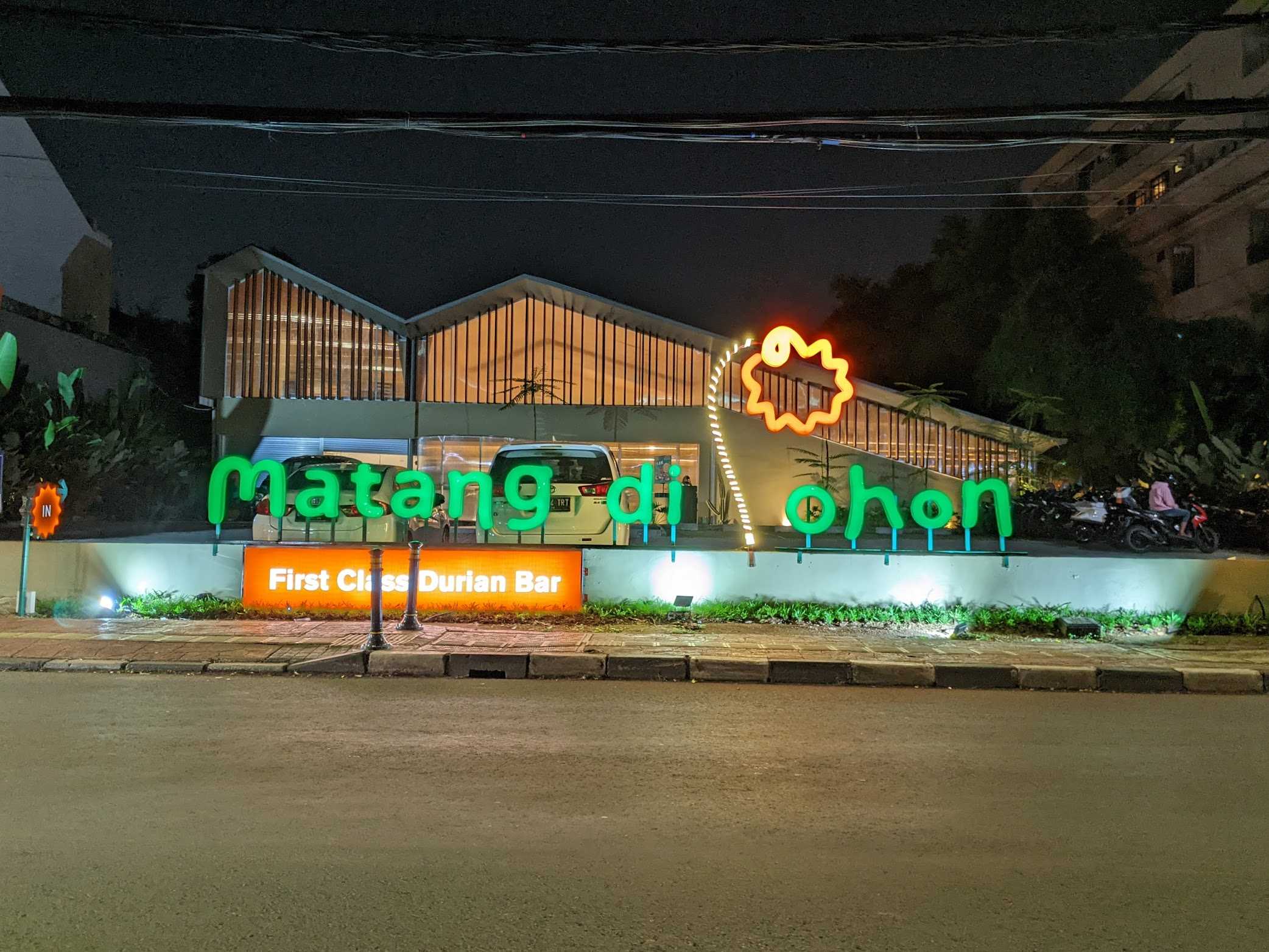 Matang Di Pohon 1