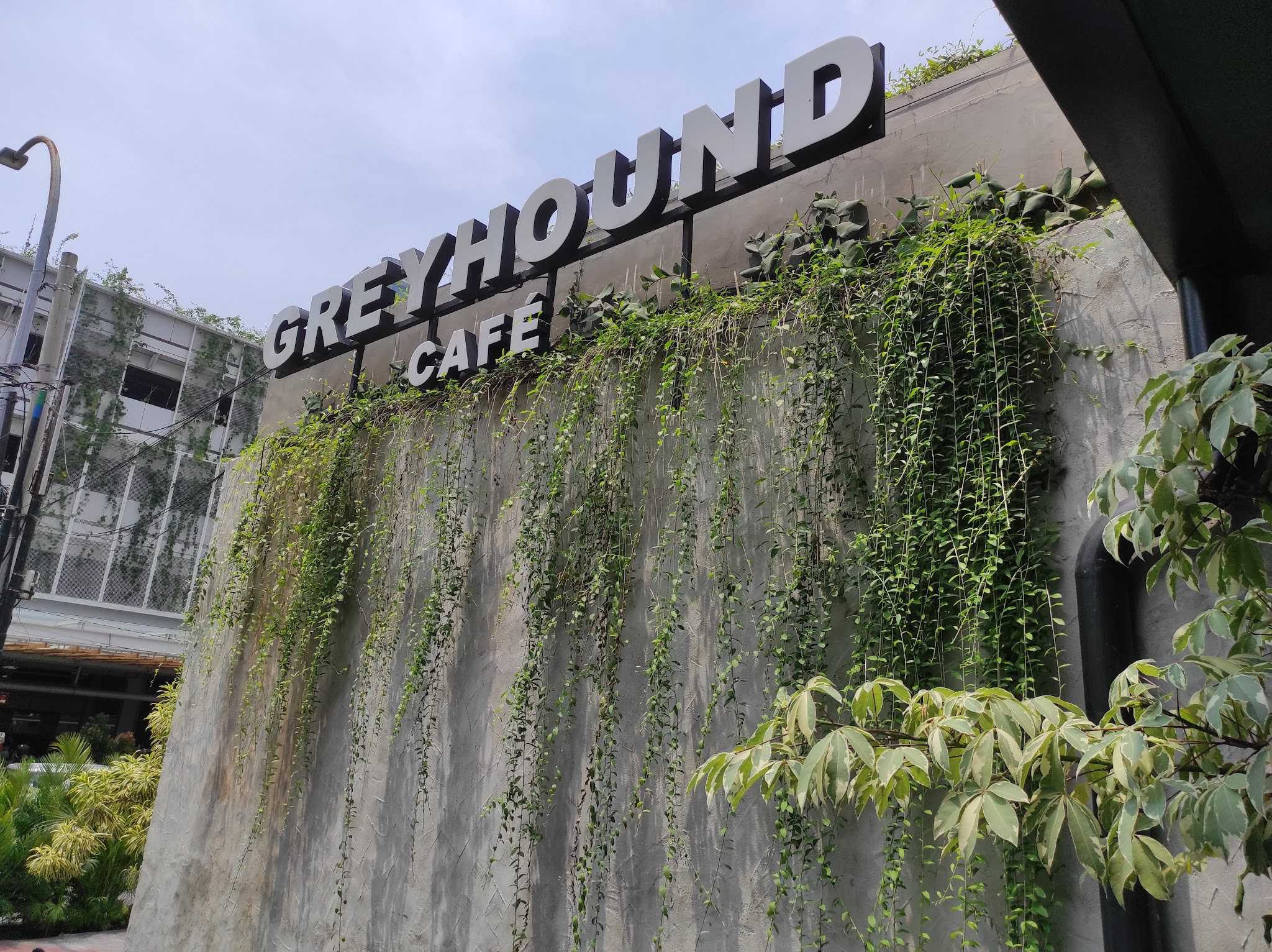 Greyhound Cafe - Menteng 1