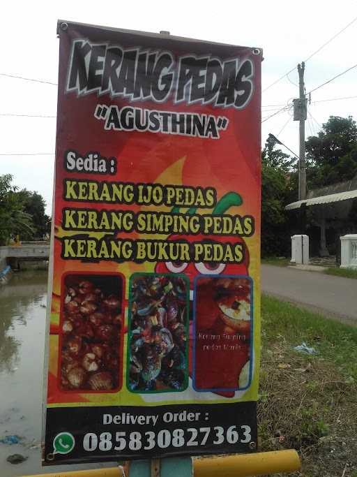 Kerang Pedas Agustina 7