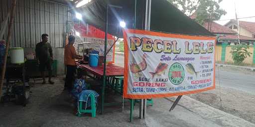 Pecel Lele Cahaya 3