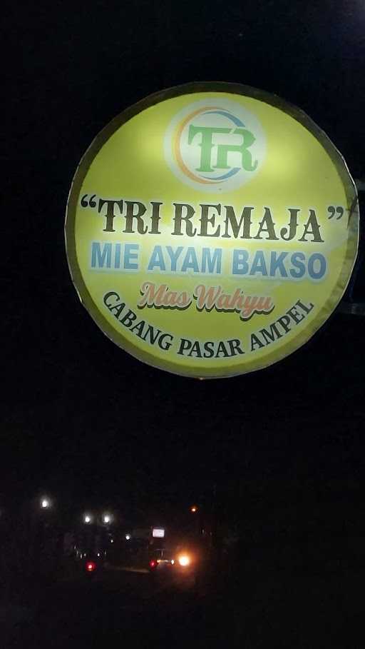 Mie Ayam Bakso Tri Remaja 10