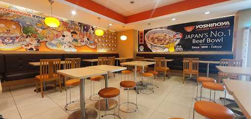 Yoshinoya Paskal 8