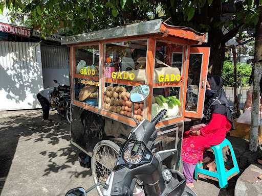 Gado-Gado Suryani 8