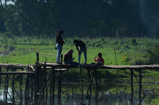 Danau Teratai Kedungdowo 3