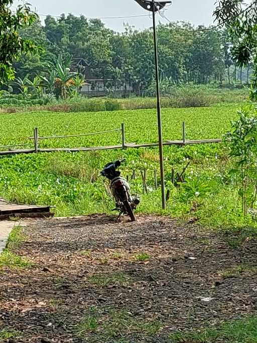 Danau Teratai Kedungdowo 2