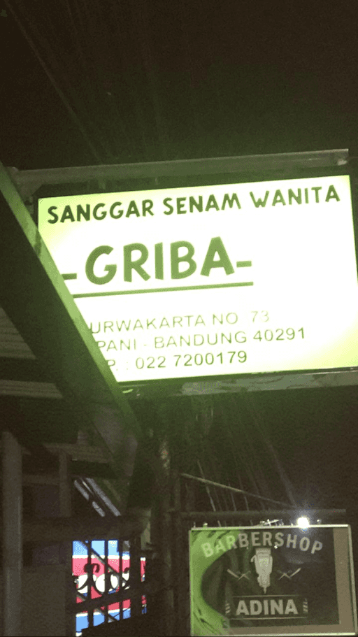 Griba Gymnastic Studio 2