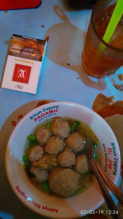 Kiwil 2 Chicken Noodle Meatball 1