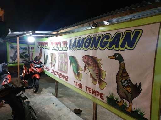 Pecel Lele Lamongan 2