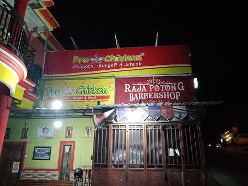 Pro Ab Chicken Macanan Salatiga 7