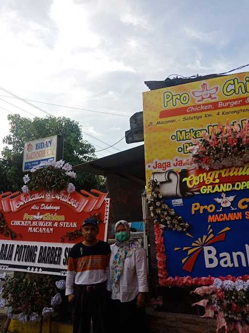 Pro Ab Chicken Macanan Salatiga 3