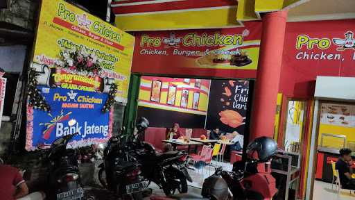 Pro Ab Chicken Macanan Salatiga 1