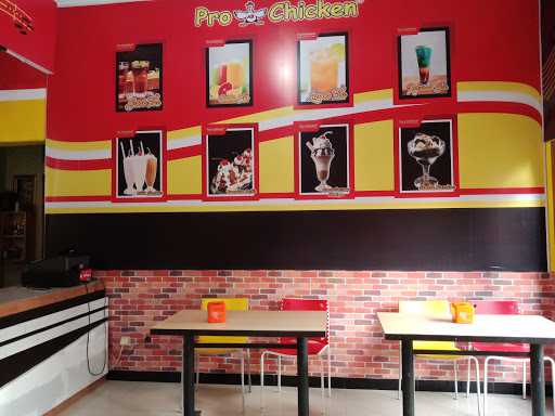 Pro Ab Chicken Macanan Salatiga 8