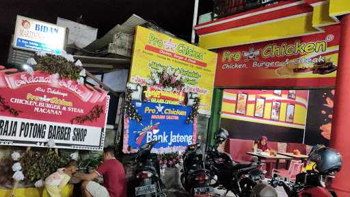 Pro Ab Chicken Macanan Salatiga 6