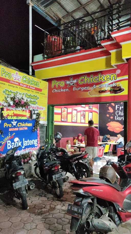 Pro Ab Chicken Macanan Salatiga 5