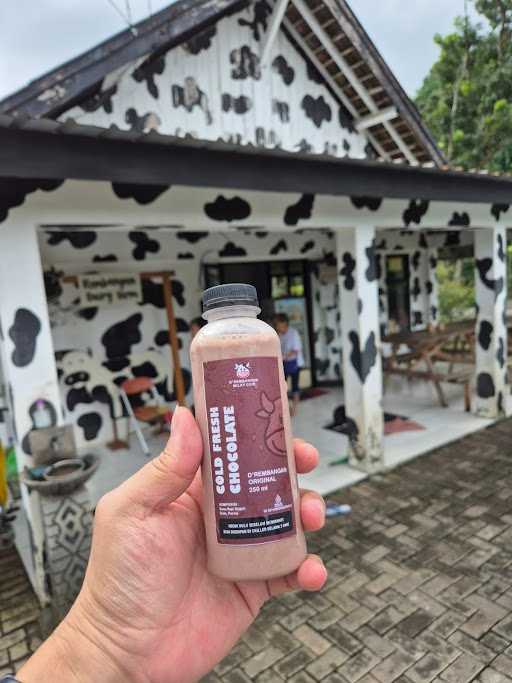 D'Rembangan Milk Cow 4