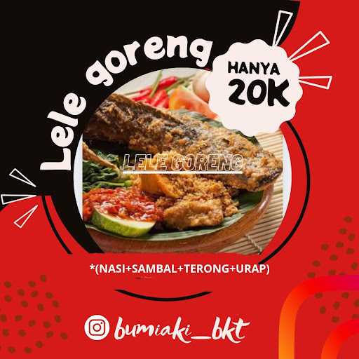 Bumi Aki Bukittinggi 6