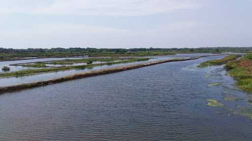 Kedung Jaer (Pemancingan) 7