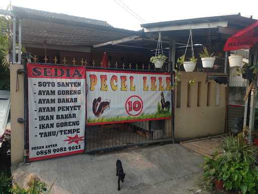 Pecel Lele 10 1