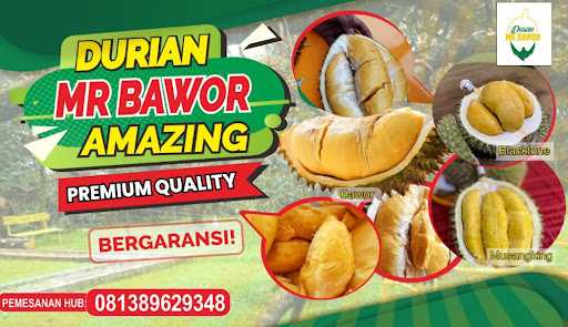 Ice Cream Durian Mr.Bawor 4