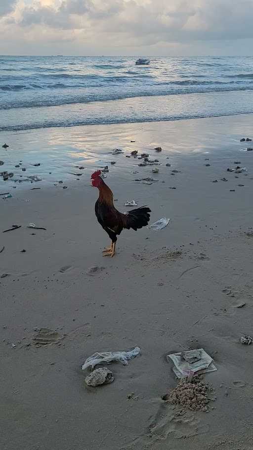 Pantai Seraya Balikpapan 3