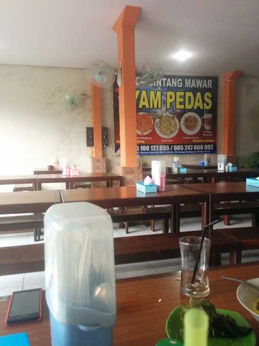 Depot Bintang Mawar Ayam Pedas 7