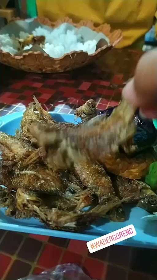 Bebek Goreng Sambel Korek 4