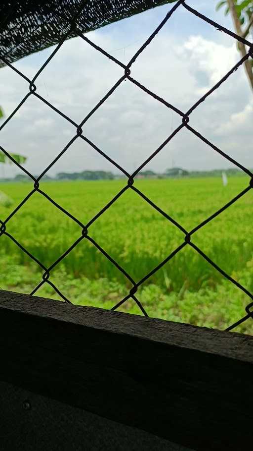 Mie Ayam Pojok 8