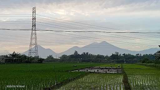 Warung Pecel Bu Sulami 9