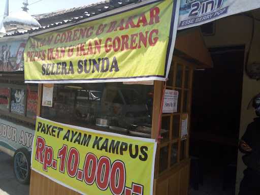 Ayam Kampus Selera Sunda 4