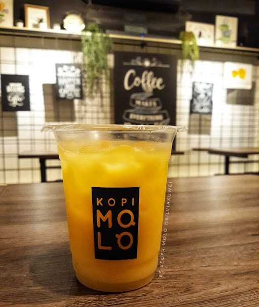 Kopi Molo Holis 2