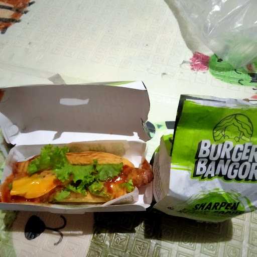 Burger Bangor Holis 9