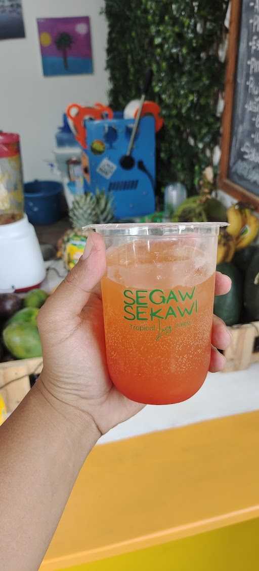 Segawsekawi 9