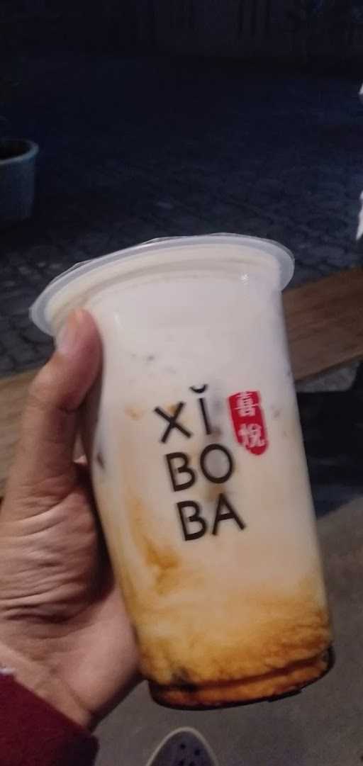 Xiboba Progo 4