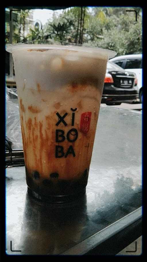 Xiboba Progo 1