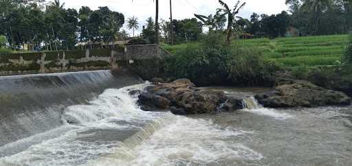 Cendol Daun Suji Pak Suliyas 8