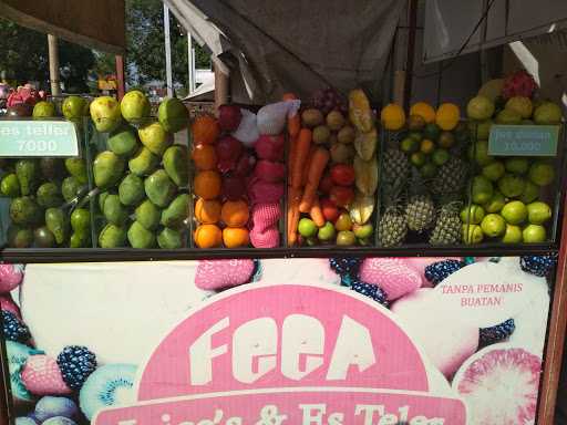 Feea Juice & Esteler 1