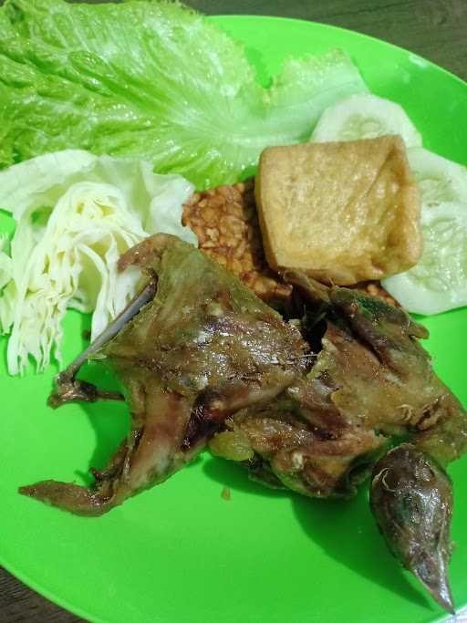 Warung Ayam Penyet Lombok Ijo( ꦮꦫꦄꦪꦩꦥꦚꦠ‌ꦥꦚꦠꦭꦩꦧꦏꦆꦗ ) 2