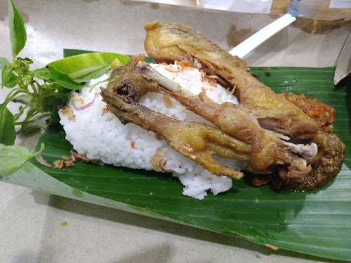 Bebek Mropol Yosodipuro (Mangkubumen) 9