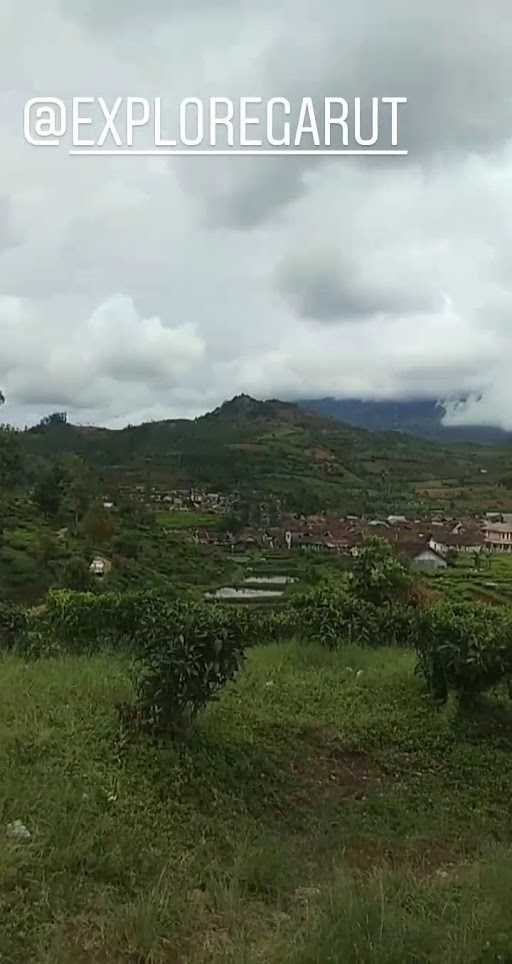 Saung Kelapa Muda 4