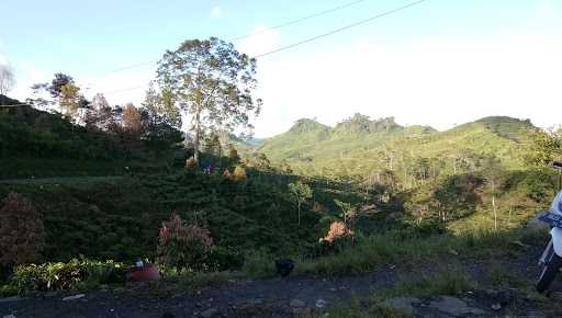 Saung Kelapa Muda 2