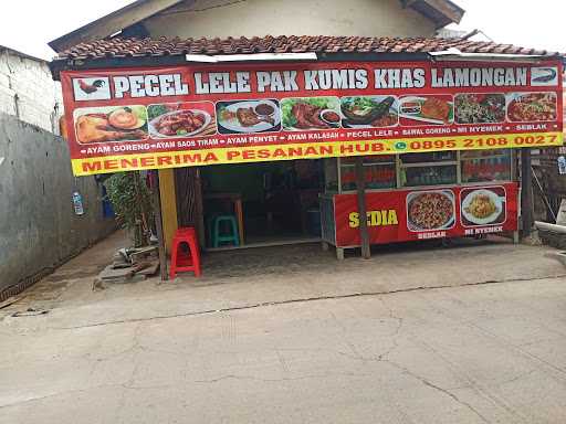 Pecel Lele Pak Kumis 1