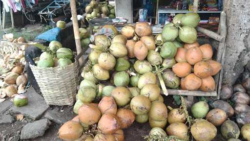 Warung Kelapa Muda 1