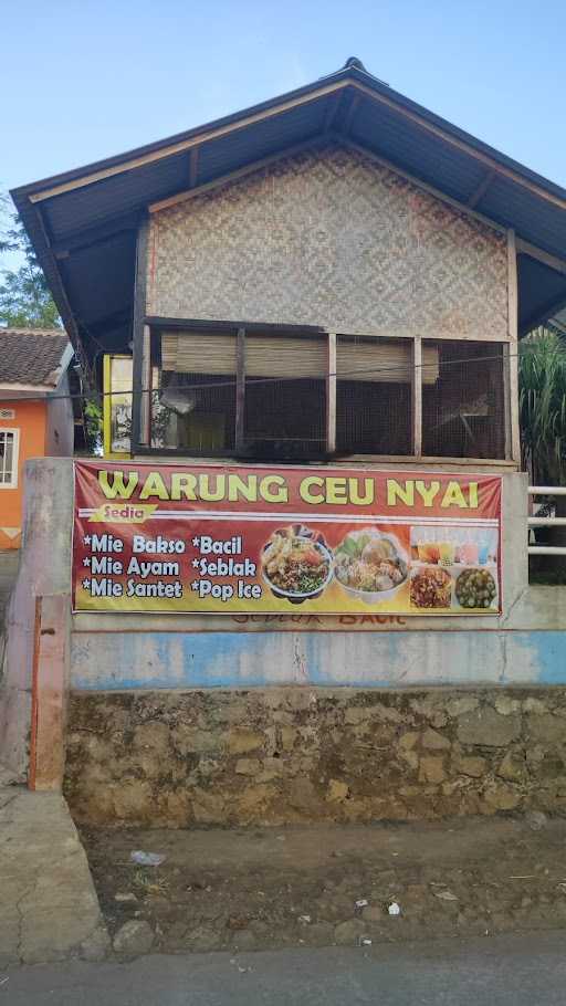 Mie Ayam Nyai 6