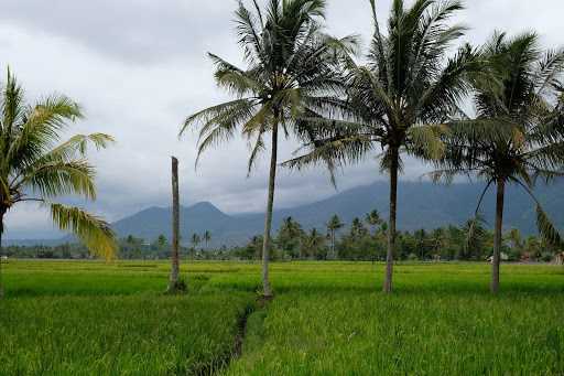 Saung Omi 7