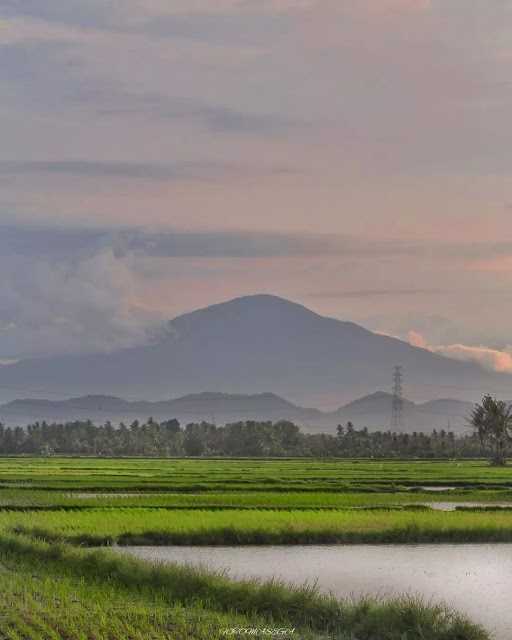 Kalobarang 4