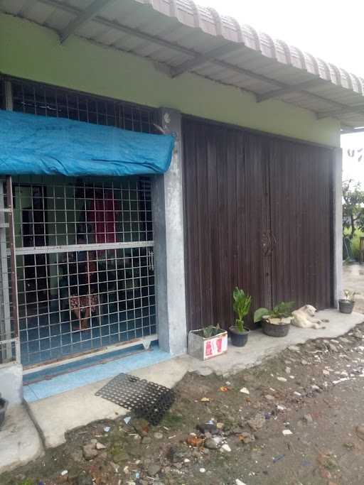 Situmorang Cetering Dan Lapo Tuak 5