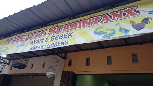 Pecel Lele Nur Bintang 3